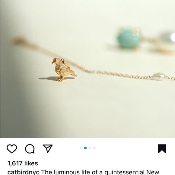 ISO Catbird x Vito’s Gems Pigeon Charm DO NOT BUY - Picture 3 of 3